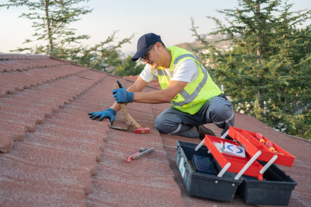 Best Roof Repair Services  in Silver Lake, KS